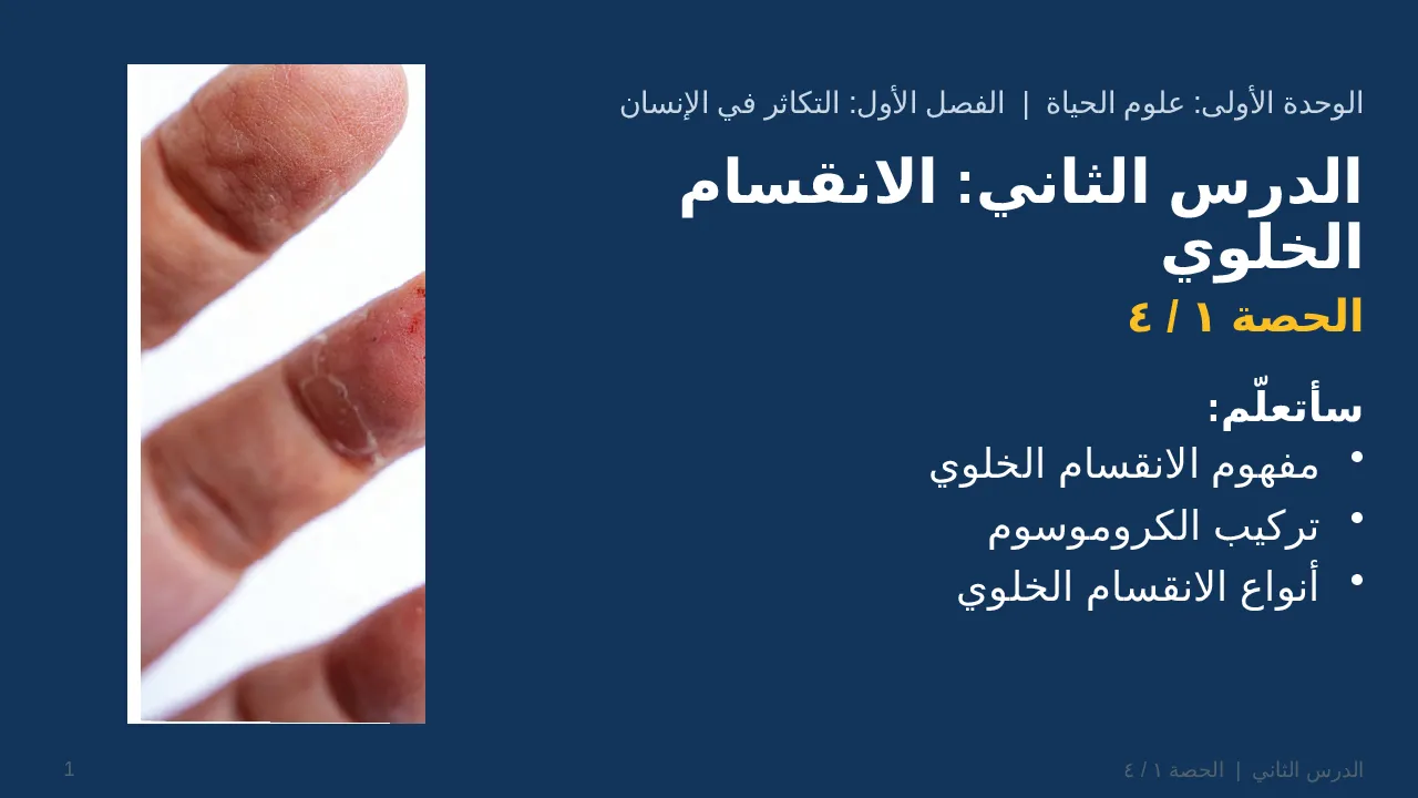 الانقسام الخلوي — شريحة 1 من 28