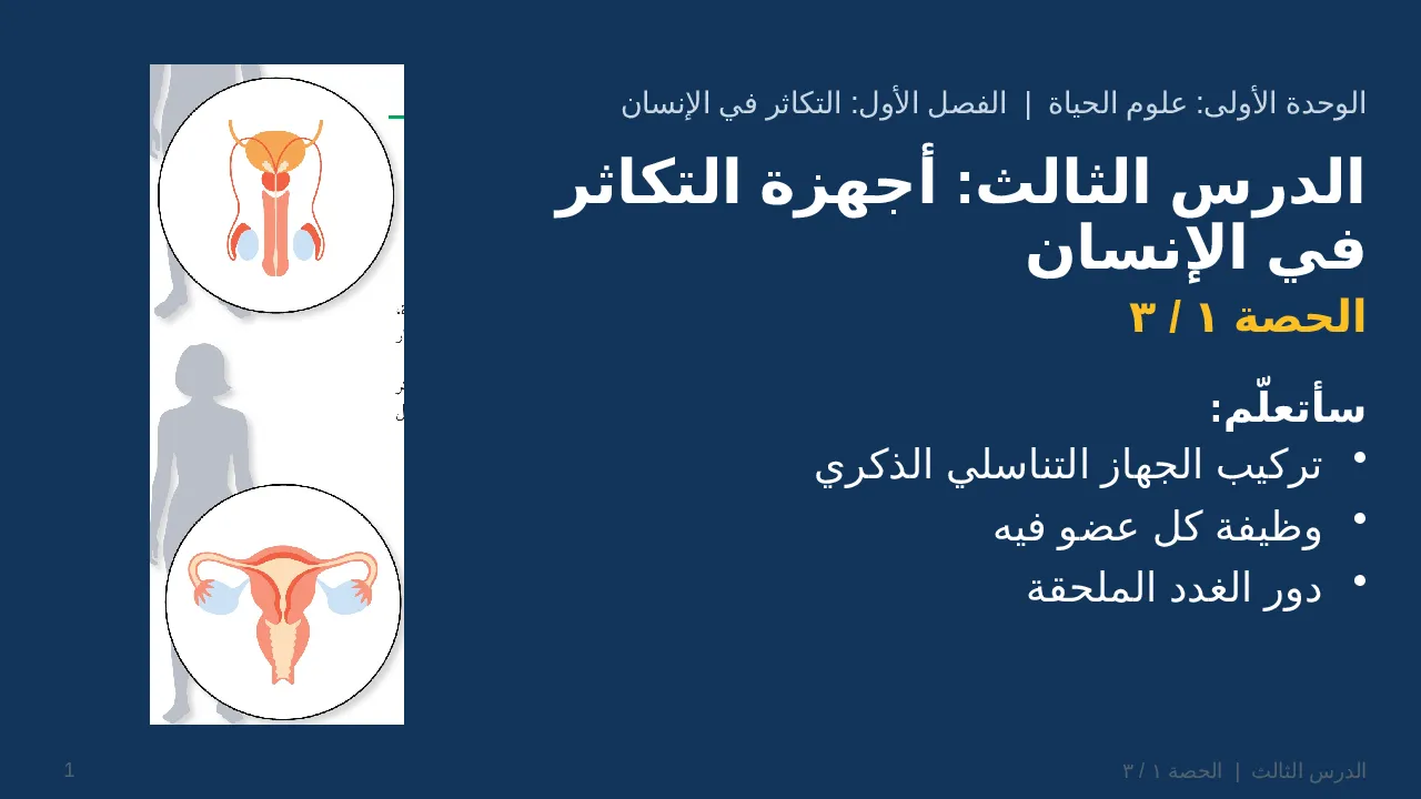 أجهزة التكاثر في الإنسان — شريحة 1 من 25