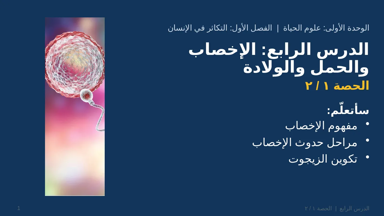 الإخصاب والحمل والولادة — شريحة 1 من 26
