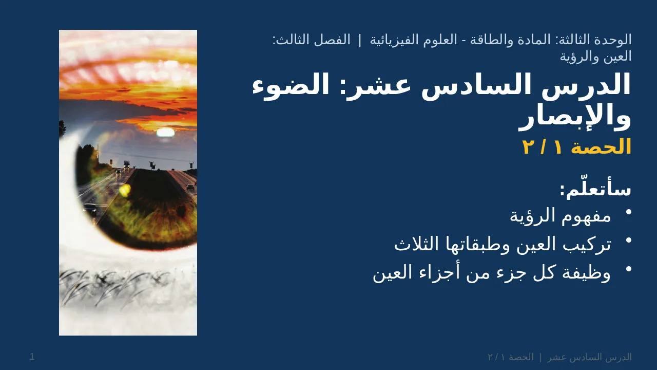 الضوء والإبصار — شريحة 1 من 41